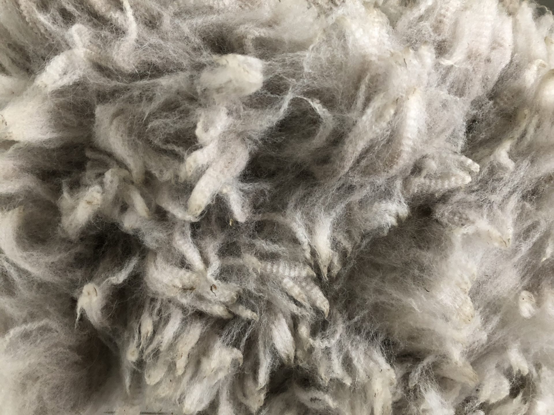 lassen Oranje antwoord Alpaca wol | Luxe dekbedden | 100% Hypoallergene Alpaca dekbedden